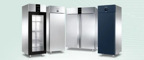 Armadi refrigerati professionali BT e TN EVERLASTING per ristorazione in Ticino