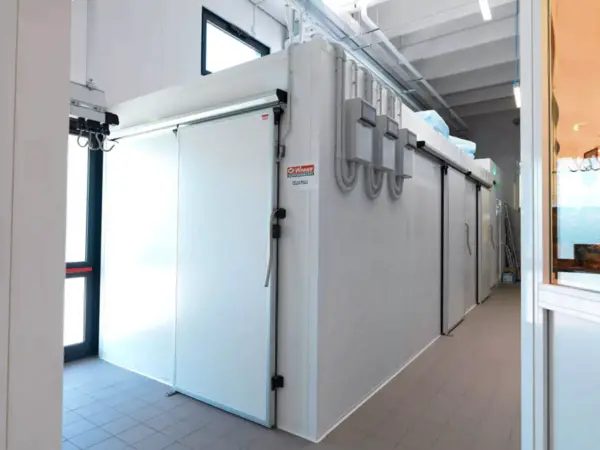 Celle frigorifere modulari multiple WINNER per uso professionale in Ticino